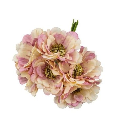 GERBERA SFUMATA ROSA D5